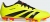 Adidas Predator 24 Club Unisex Spor Ayakkabı