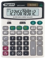 Bigpoint BP510-RPT resim