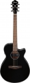 Ibanez AEG50 resim