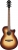 Ibanez AEG50 Elektro Akustik Gitar