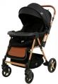 Maxi Taxi Milano Puset resim