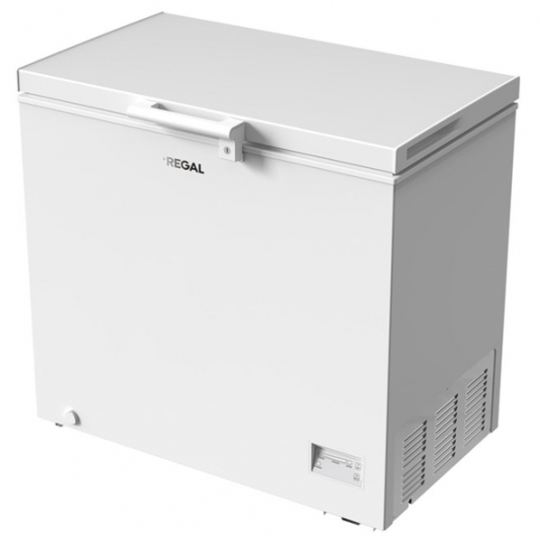 Regal SD Dual 2021 Derin Dondurucu