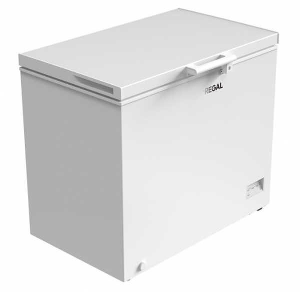 Regal SD Dual 3021 Derin Dondurucu