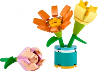 LEGO Friends 30634 Friendship Flowers