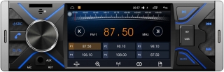 Navigold DS-429 Oto Teyp