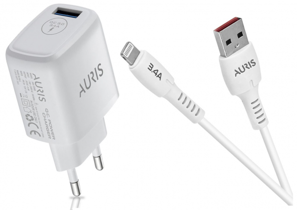 Auris CH41 Şarj Aleti