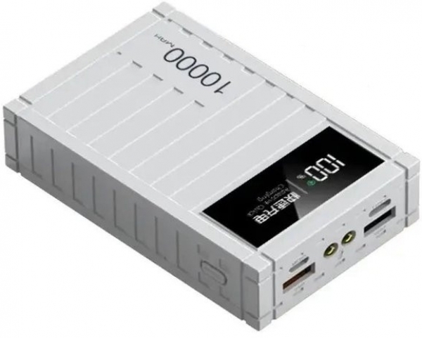 ACL PW-81 10000 mAh Powerbank