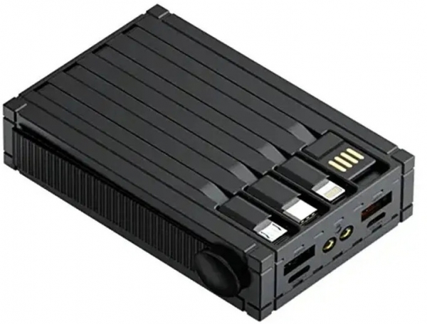 ACL PW-81 10000 mAh Powerbank