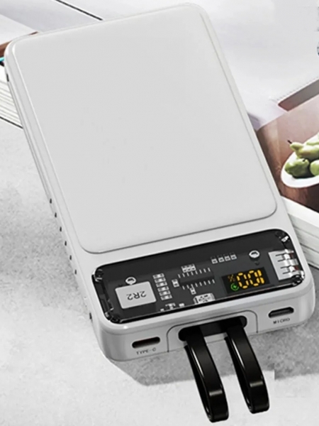 ACL PW-89 10000 mAh Powerbank