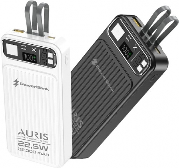 Auris Y310 22000 mAh Powerbank