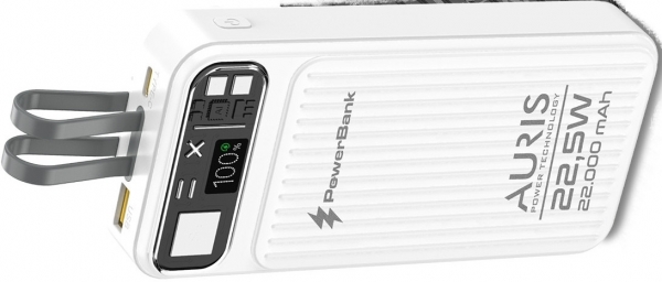 Auris Y310 22000 mAh Powerbank
