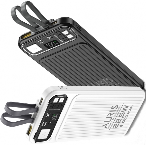 Auris Y309 12000 mAh Powerbank