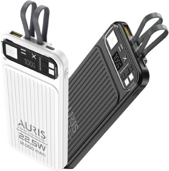 Auris Y309 12000 mAh Powerbank