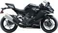 Kawasaki Ninja ZX-4R resim
