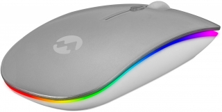 Everest SMW-306R Mouse