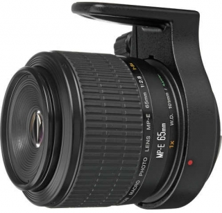 Canon MP-E 65mm F2.8 1-5x Macro
