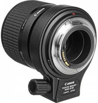 Canon MP-E 65mm F2.8 1-5x Macro