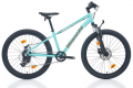 Bianchi XR24 24