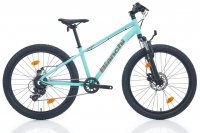 Bianchi XR24 24 resim