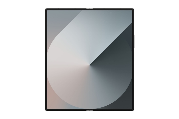 Samsung Galaxy Z Fold6 (512 GB)
