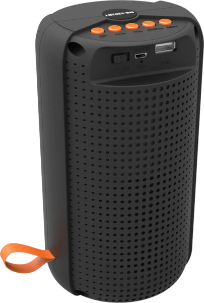 Newface MS-2202BT Bluetooth Hoparlör