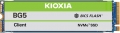 Kioxia BG5 resim