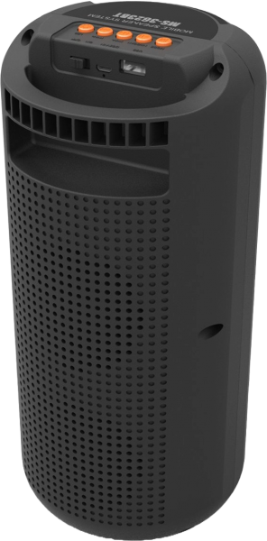 Newface MS-3623BT Bluetooth Hoparlör
