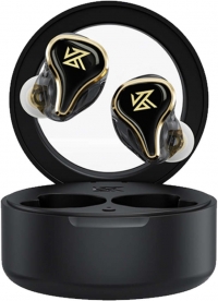 KZ SK10 resim