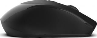 Inca IBD-08 Mouse
