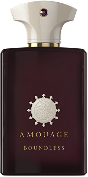 Amouage Boundless EDP 100 ml Erkek Parfümü