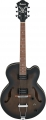 Ibanez AF55 resim