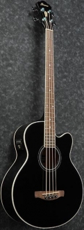 Ibanez AEB8E Akustik Bas Gitar