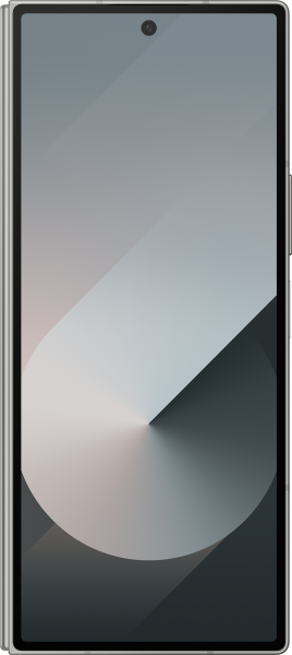 Samsung Galaxy Z Fold6 (256 GB)