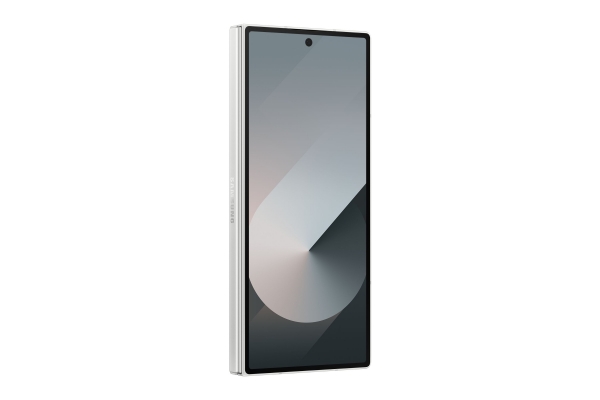 Samsung Galaxy Z Fold6 (256 GB)