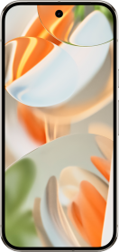 Google Pixel 9 Pro resim