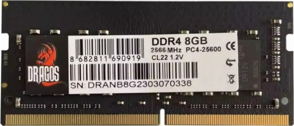 Dragos EdgeHorizon M 8 GB 2666 MT