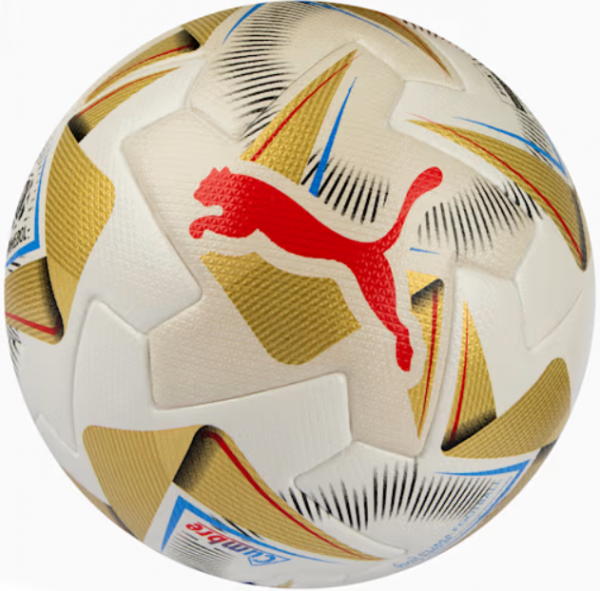 Puma Copa America 2024 5 Numara Futbol Topu