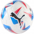Puma Copa America 2024 resim