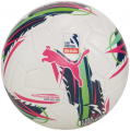 Puma Liga Portugal resim
