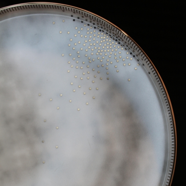 Neva Tena Elegans N3543 28 Parça Yemek Takımı
