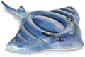 Intex 57550 resim