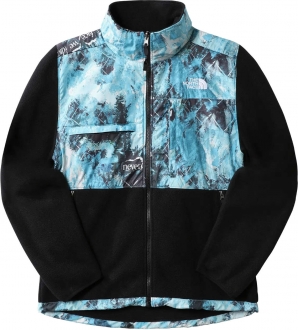 The North Face Printed Denali Erkek Polar Mont