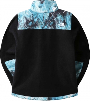 The North Face Printed Denali Erkek Polar Mont