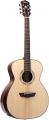 Washburn Comfort CG10SE resim