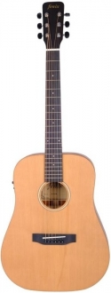 Fenix FW-1ENS Elektro Akustik Gitar