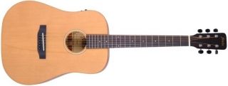 Fenix FW-1ENS Elektro Akustik Gitar