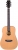 Fenix FW-1ENS Elektro Akustik Gitar