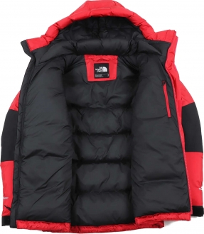 The North Face Original Himalayan Windstopper Down Erkek Mont