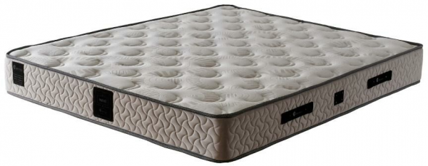 Mobilya Dükkanım Maxi 100x200 cm Yaylı Yatak