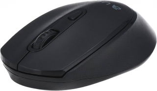 Aula AM205 Mouse